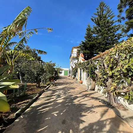 La Tacita - Petunia Country house *