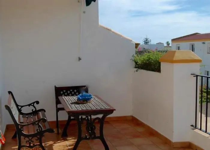 La Tacita - Petunia * Conil De La Frontera