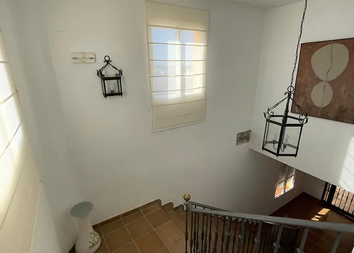 La Tacita - Petunia Conil De La Frontera