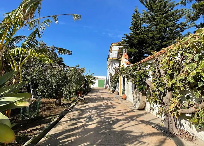 La Tacita - Petunia Country house *