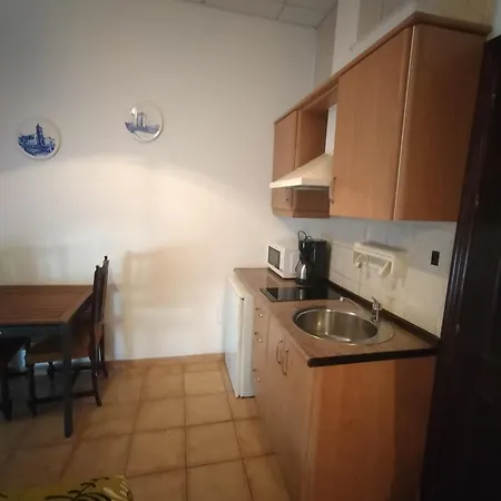 La Tacita - Petunia * Conil De La Frontera