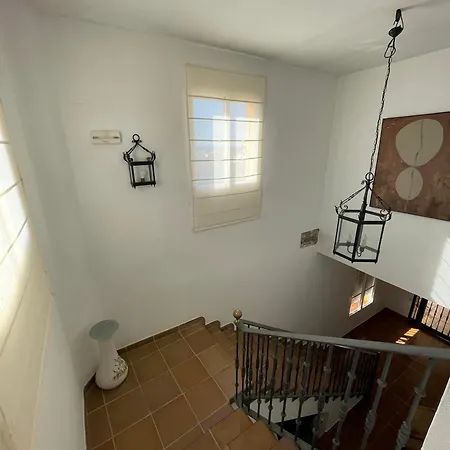 La Tacita - Petunia Conil De La Frontera