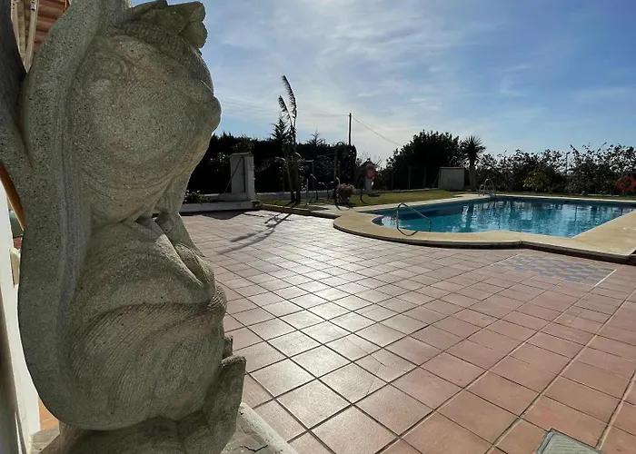 La Tacita - Petunia *