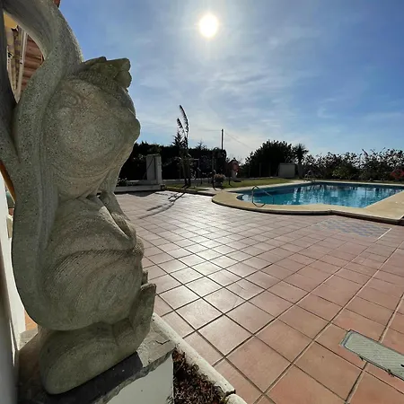 La Tacita - Petunia *